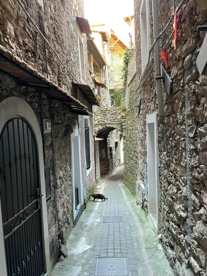 Casa Venezia In Airole, Liguria, Italy Villa Екстериор снимка